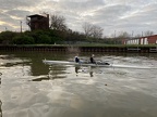 IMG 3579